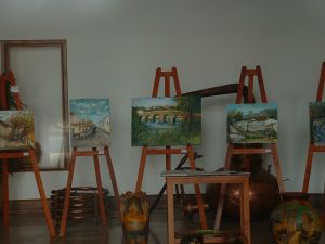 Expo Tudo o que � Belo me Encanta de Am�rico Delgado - photographie Virginia Manso