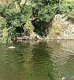 A ribeira no Pego do Mouro