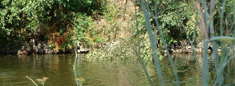 La rivi�re pr�s du Mosteiro Cimeiro